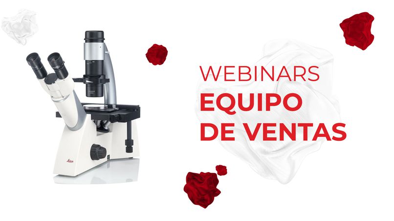 Odoo - Prueba 1 a tres columnas